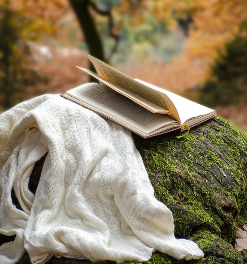 book on a rock with a blanket